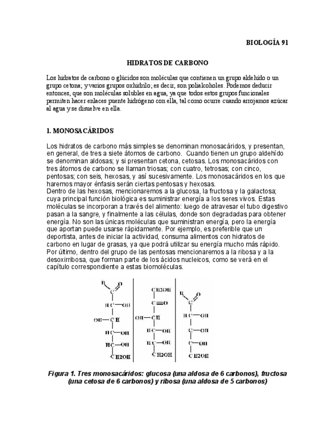 Miniatura del documento HIDRATOS-DE-CARBONO.pdf