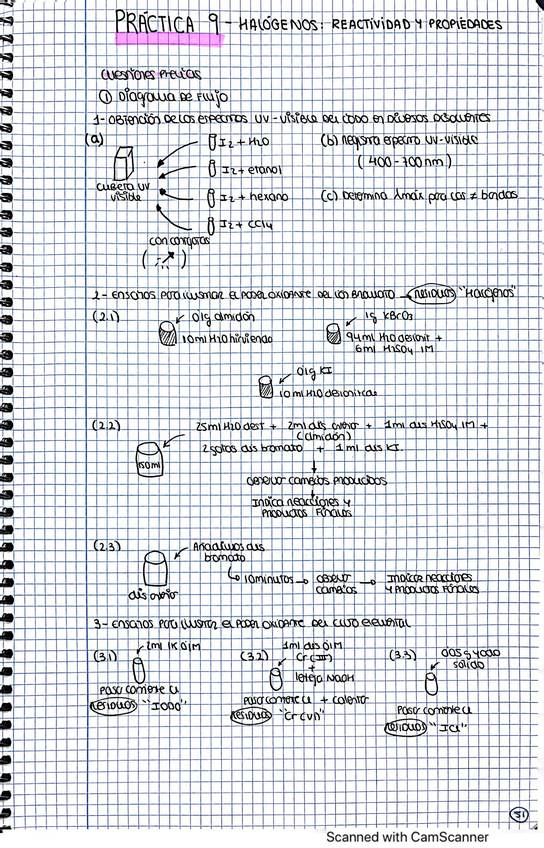 Miniatura del documento CamScanner-16-10-2023-18.19.pdf