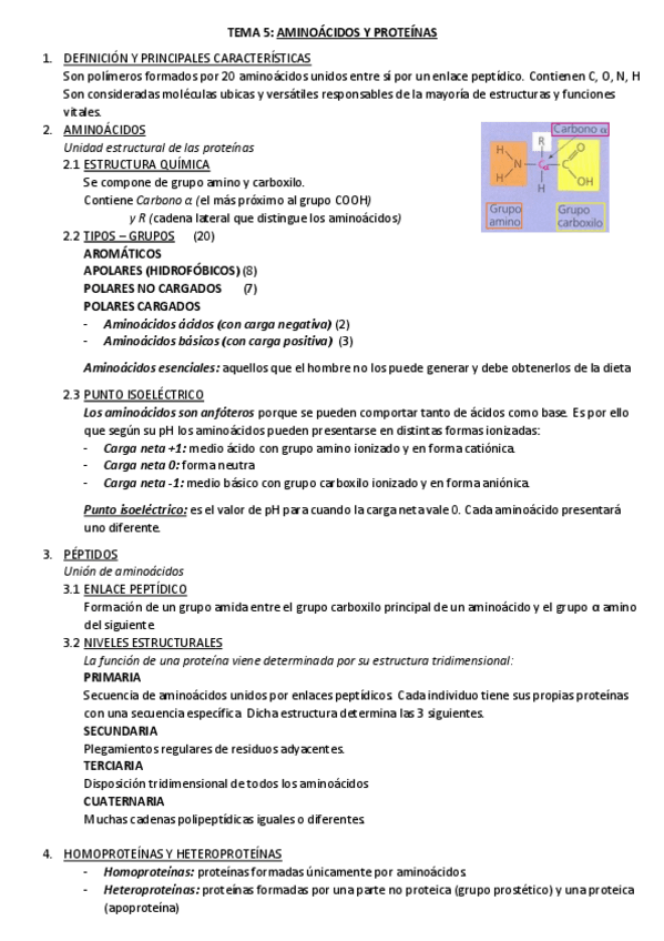 Miniatura del documento TEMA-5-resumen-APROBE.pdf
