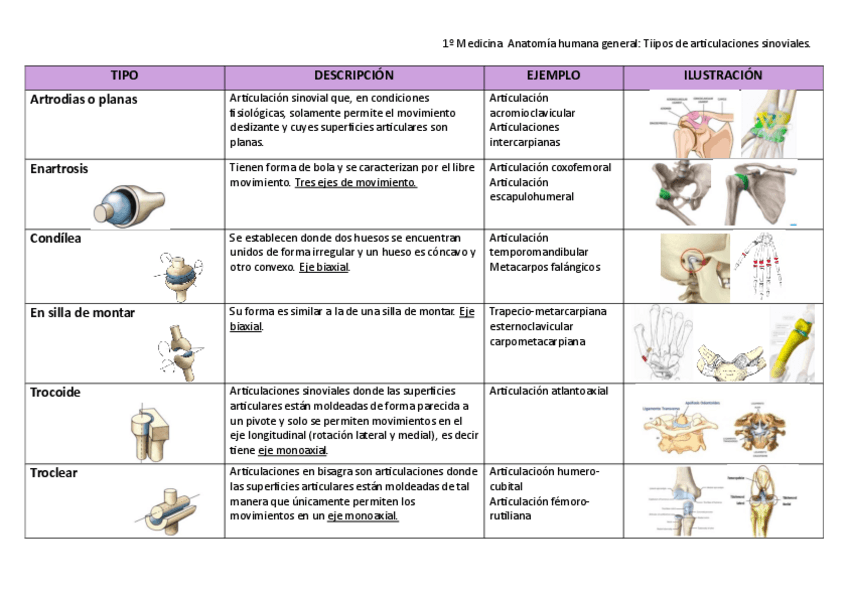 Miniatura del documento Articulaciones-sinoviales-tipos.pdf