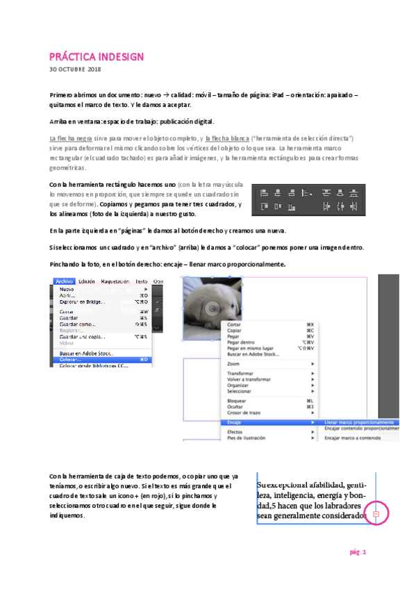 Miniatura del documento Práctica 1 indesign.pdf