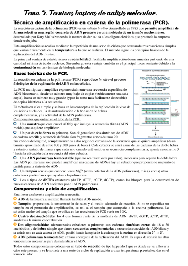 Miniatura del documento Tema-5.-Tecnicas-basicas-de-aalisis-molecular..pdf