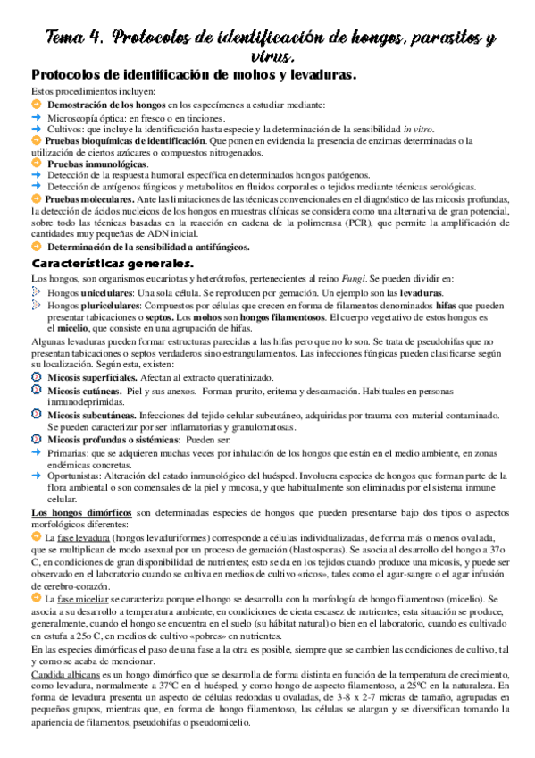 Miniatura del documento Tema-4.pdf