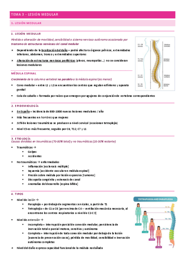 Miniatura del documento TEMA-3-LESION-MEDULAR.pdf