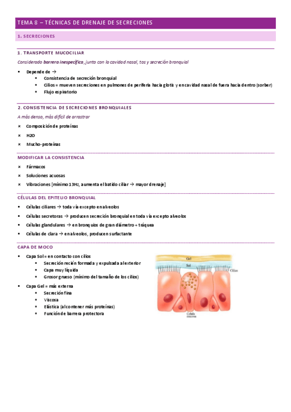 Miniatura del documento TEMA-8-TECNICAS-DE-DRENAJE-DE-SECRECIONES.pdf