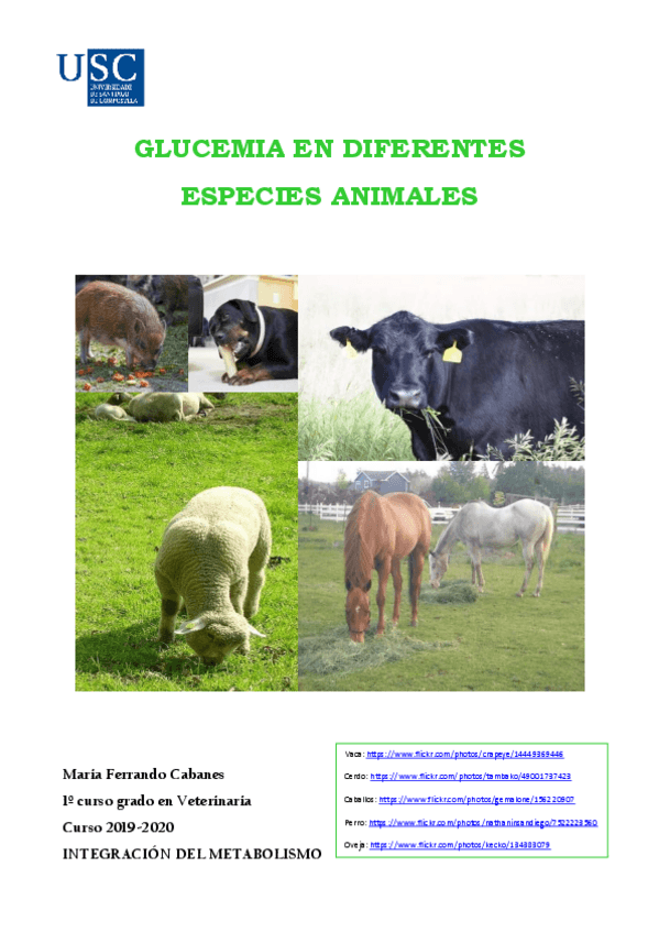 Miniatura del documento Glucemia.pdf
