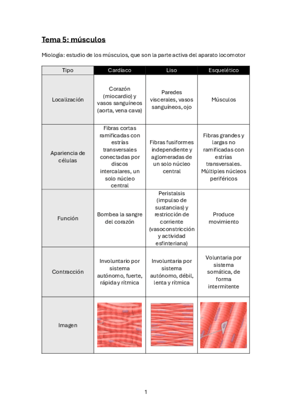 Miniatura del documento 5.-Musculos.pdf
