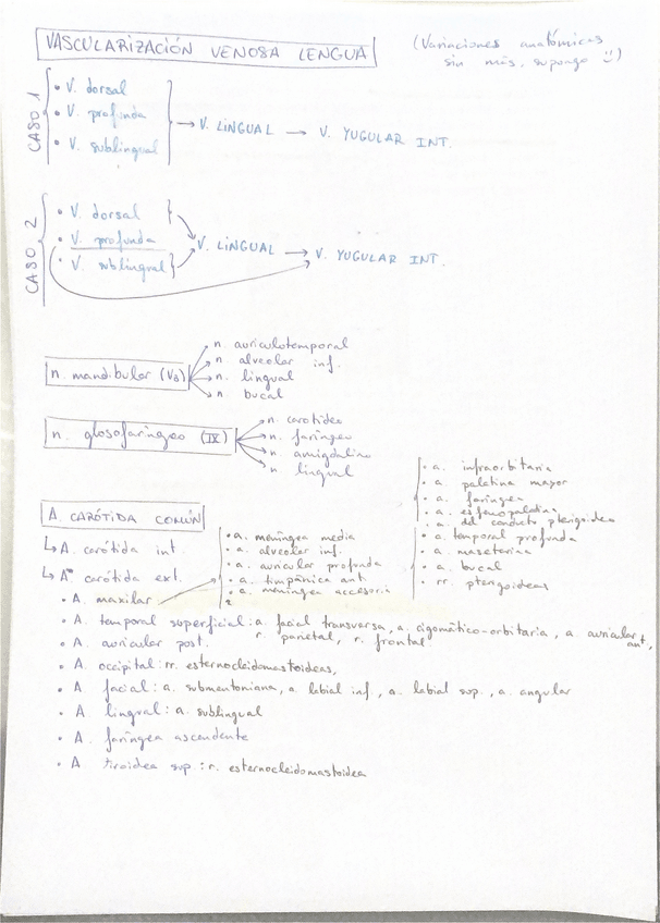 Miniatura del documento Vascularizacion-venosa-de-la-lengua-y-ramificaciones-arteria-carotida-comun.pdf
