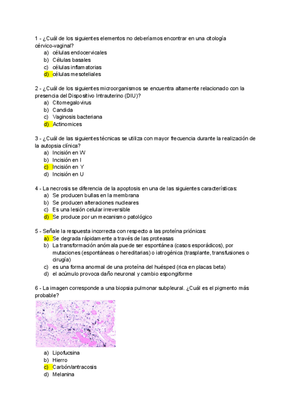 Miniatura del documento APG.pdf