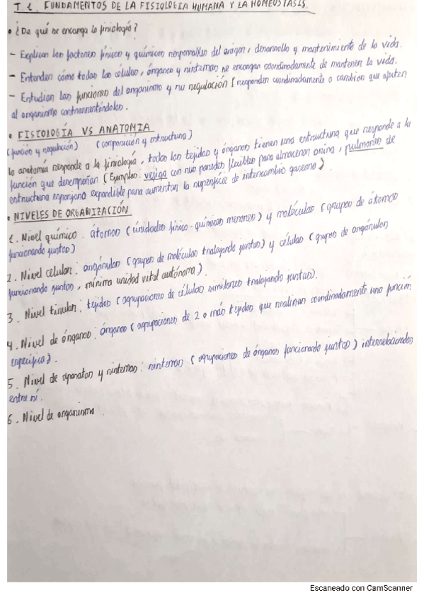 Miniatura del documento Tema-1-FAH.pdf