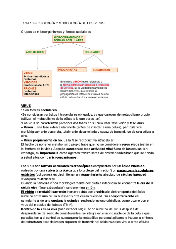 Miniatura del documento virus.pdf