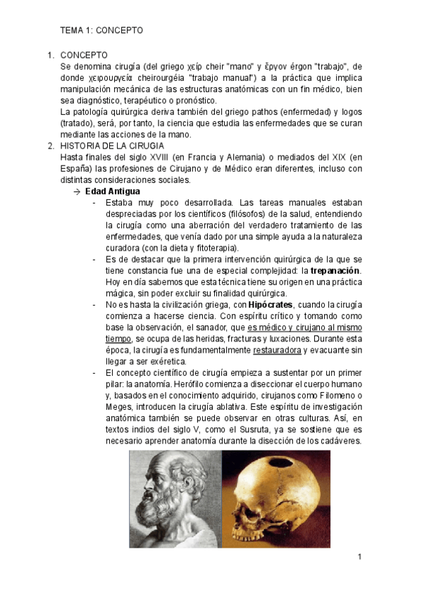 Miniatura del documento apuntes-quirurgica.pdf