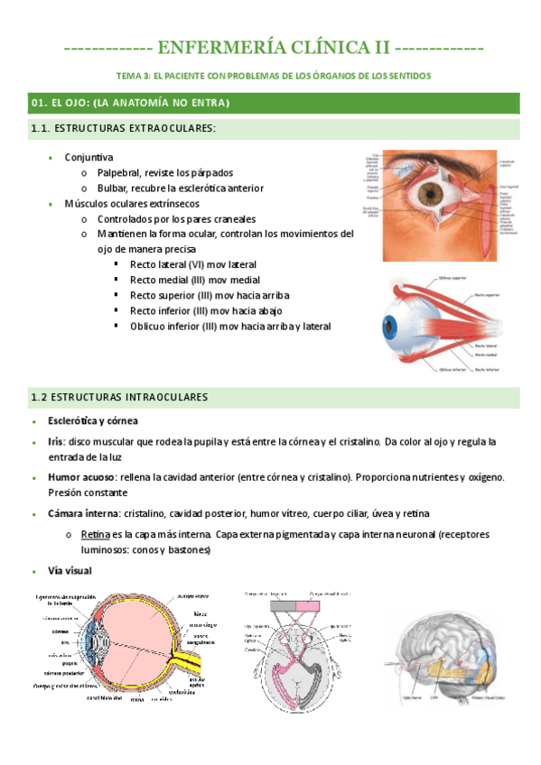 Miniatura del documento TEMA-3-EL-PACIENTE-CON-PROBLEMAS-DE-LOS-ORGANOS-DE-LOS-SENTIDOS.pdf