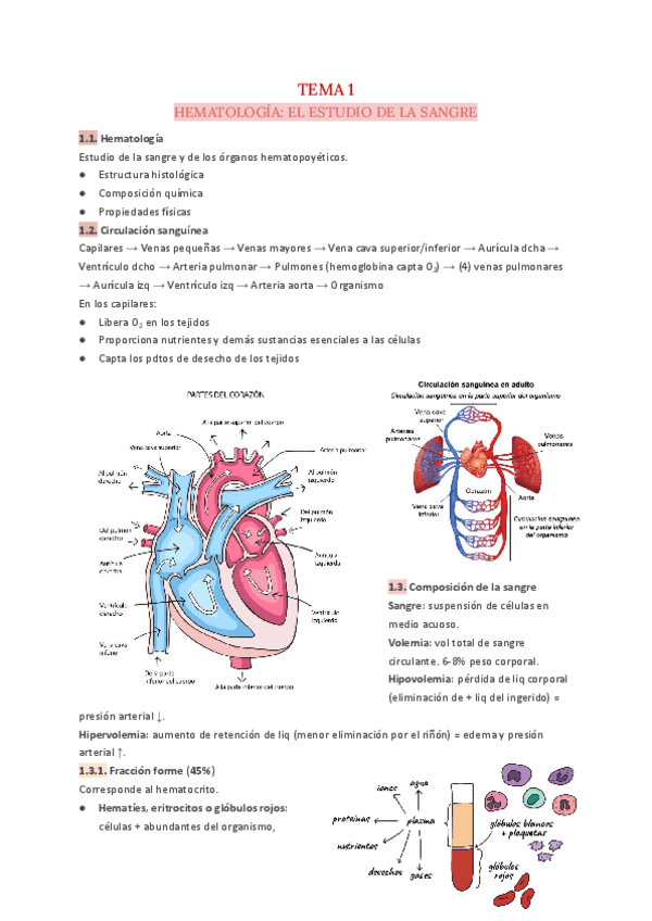 Miniatura del documento T.1-Hematologia.pdf