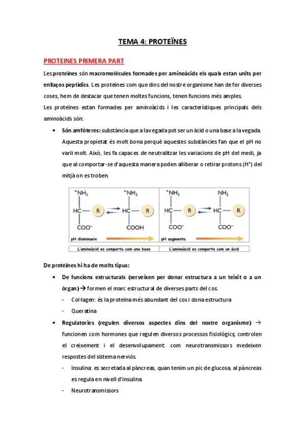 Miniatura del documento TEMA-4-PROTEINES.pdf