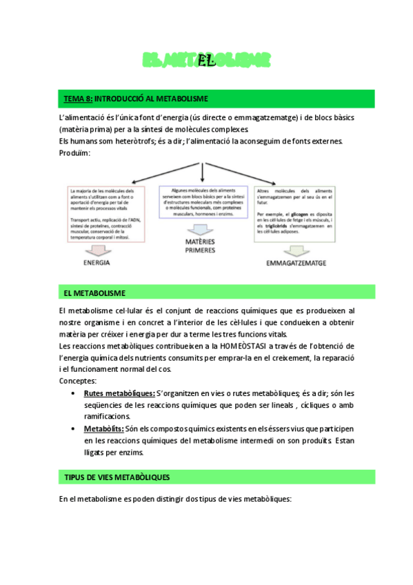 Miniatura del documento TEMA-8-METABOLISME.pdf
