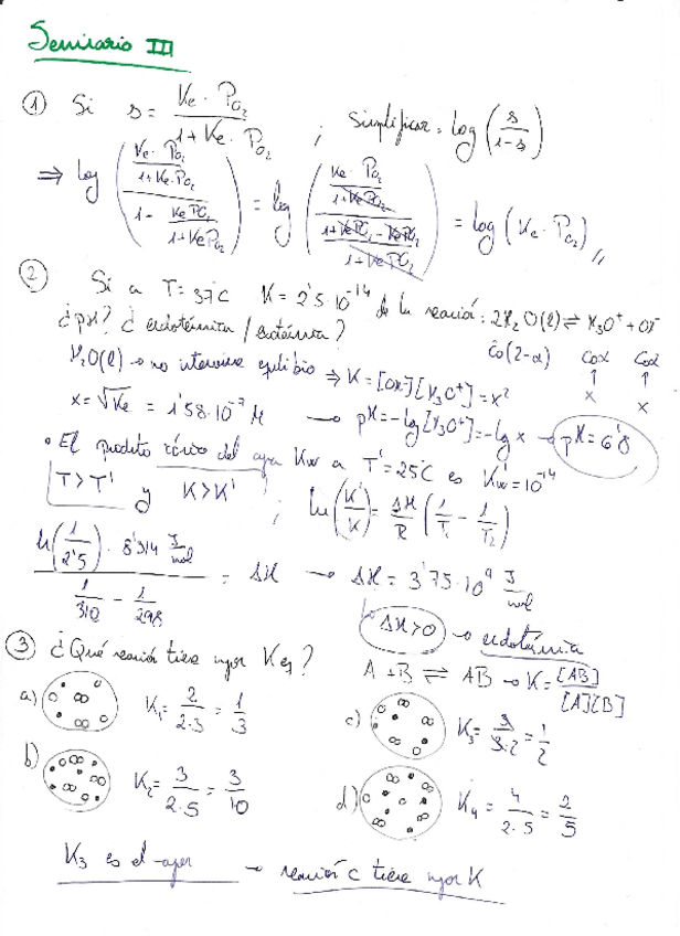 Miniatura del documento Seminario-3-Quimica-2023.pdf