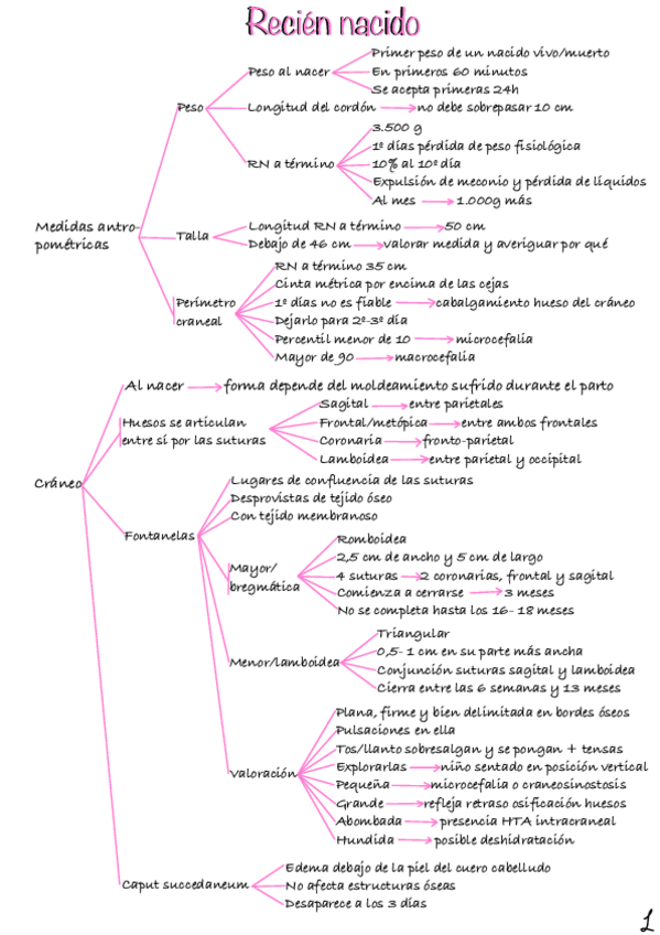 Miniatura del documento Recien-Nacido.pdf