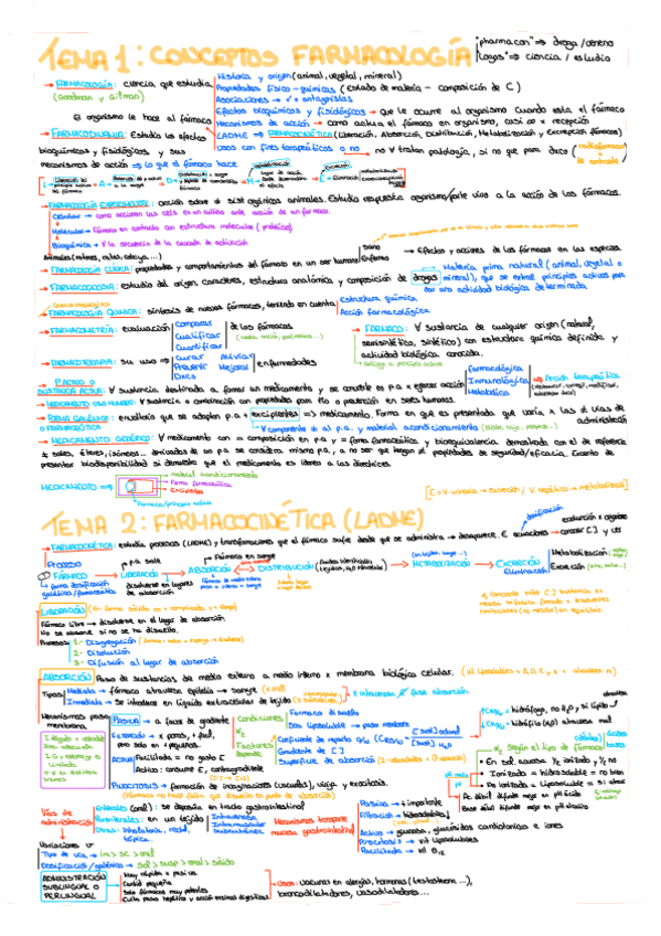 Miniatura del documento APUNTES-FARMA-T.pdf