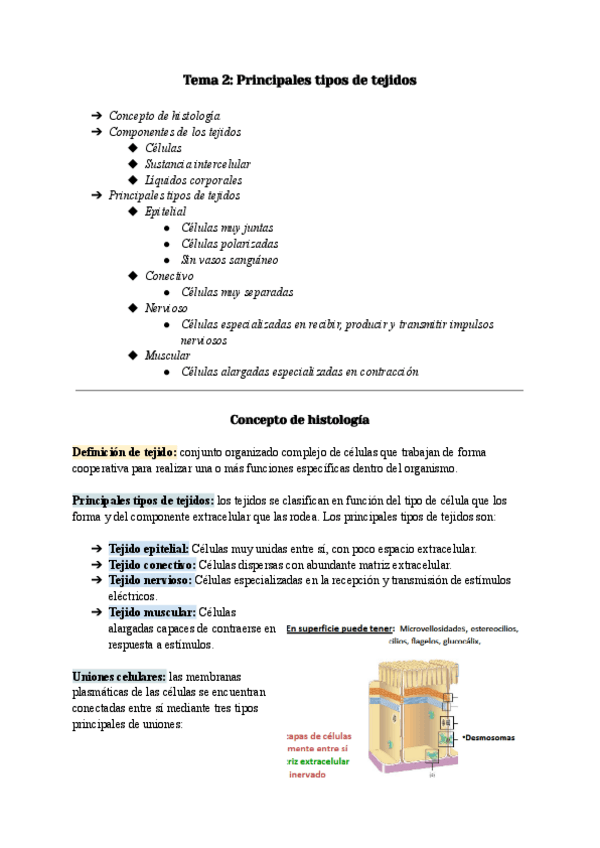 Miniatura del documento TEMA-2-PRINCIPALES-TIPOS-DE-TEJIDOS.pdf