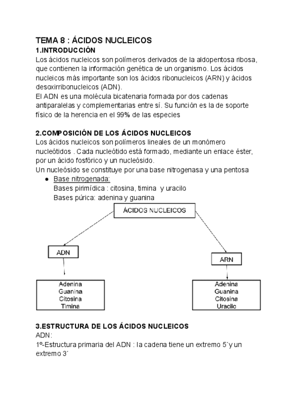 Miniatura del documento TEMA-8--ACIDOS-NUCLEICOS-1.pdf