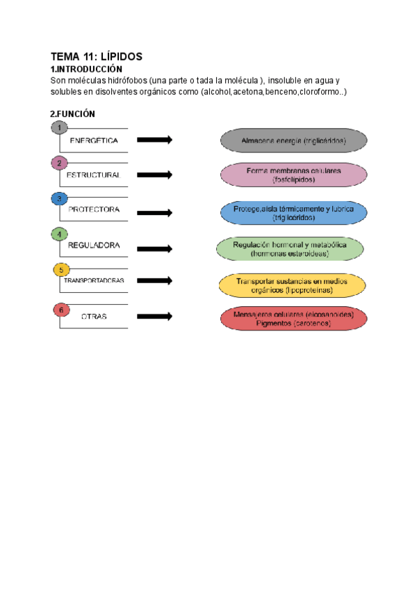 Miniatura del documento TEMA-11-Y-12--LIPIDOS.pdf