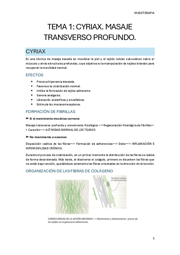 Miniatura del documento TEMA-1.-CYRIAX-2024.pdf