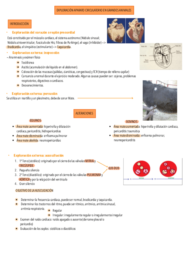 Miniatura del documento Tema-4-propedeutica..pdf