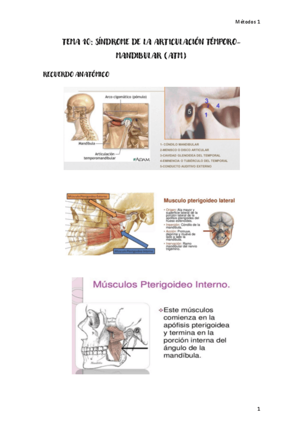Miniatura del documento tema-10-metodos-1.pdf
