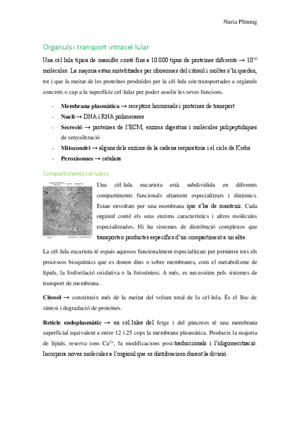 Miniatura del documento Resum-Organuls-i-transport-intracellular.pdf
