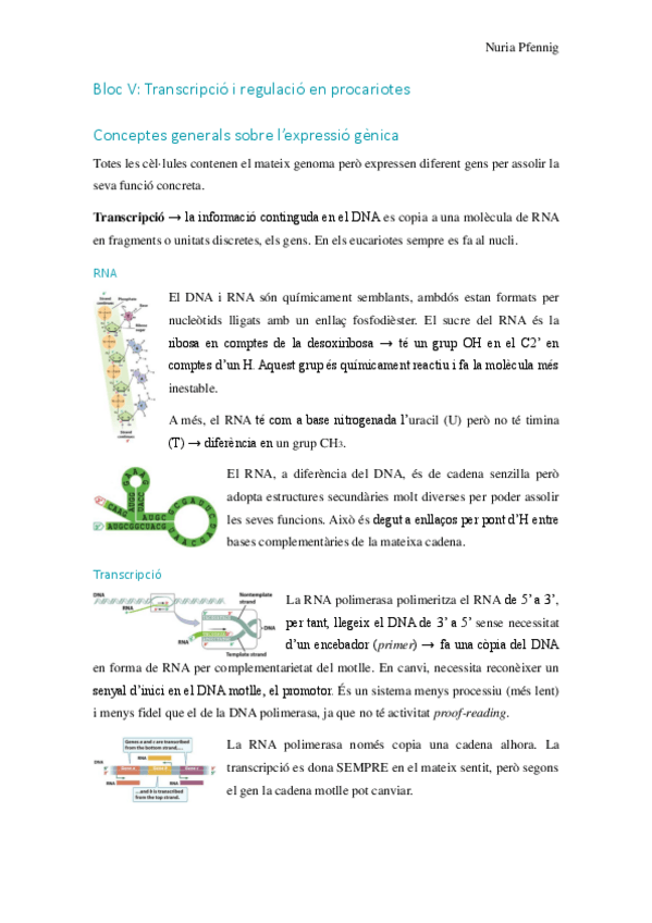 Miniatura del documento Genetica-molecular-Bloc-V-VII.pdf