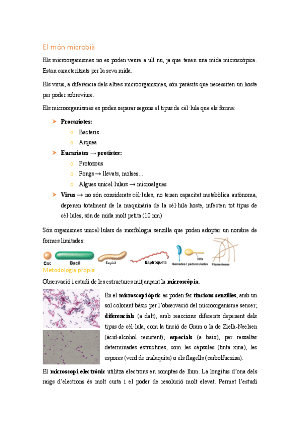 Miniatura del documento Micro-part-1.pdf