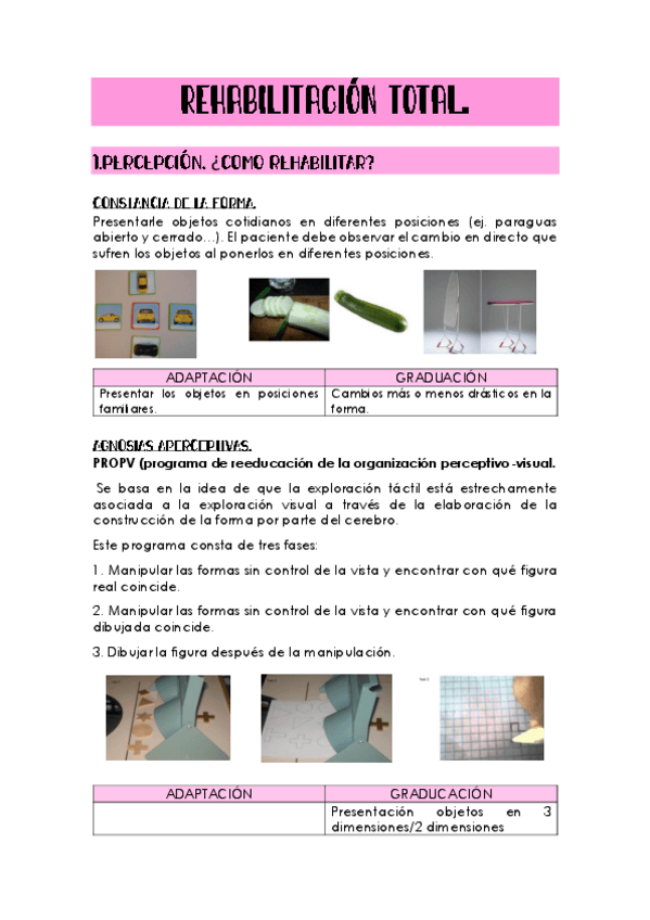 Miniatura del documento rehabilitacion-total.pdf