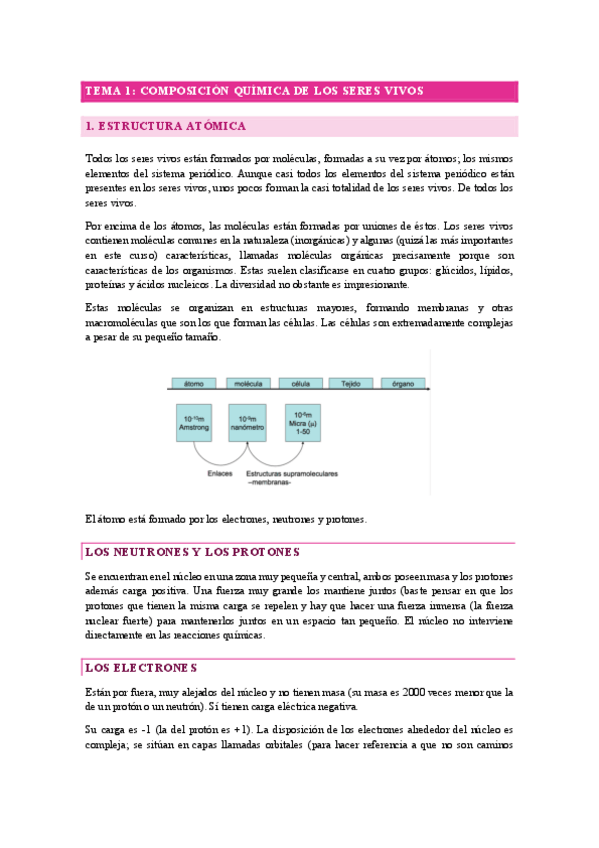Miniatura del documento TEMARIO-BIOQUIMICA-I-COMPLETO.pdf