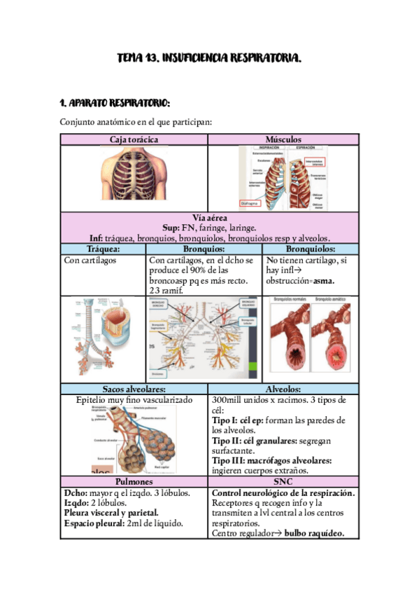 Miniatura del documento TEMA-13-INSUFICIENCIA-RESPIRATORIA.pdf