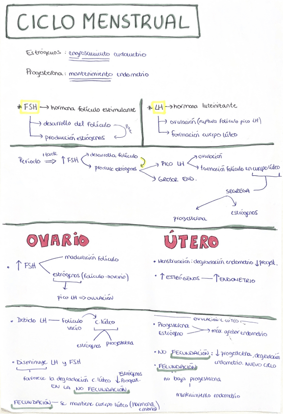Miniatura del documento Ciclo-menstrual.pdf