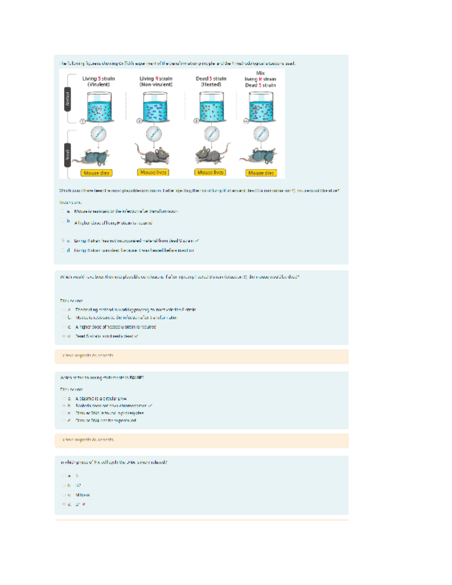 Miniatura del documento Evaluation-Seminar-1.pdf
