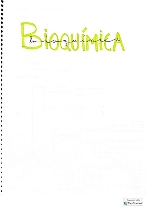 Miniatura del documento Resumen-bioquimica-temas-1-6.pdf
