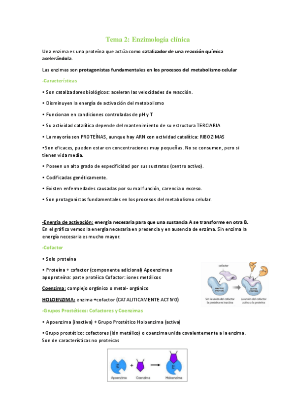 Miniatura del documento Tema-2-bioquimica.pdf