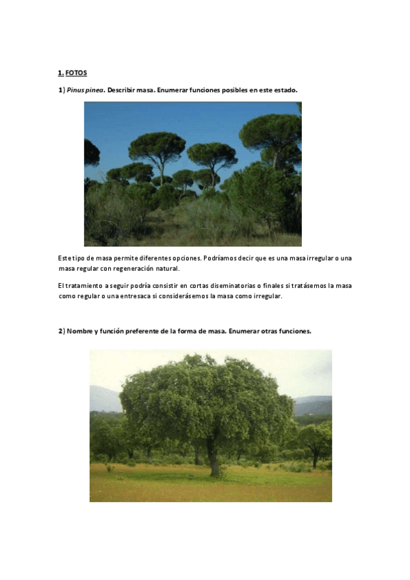 Miniatura del documento Fotitos-1-1.pdf