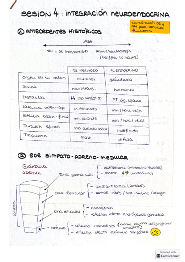 Miniatura del documento sesion-4-esquema.pdf