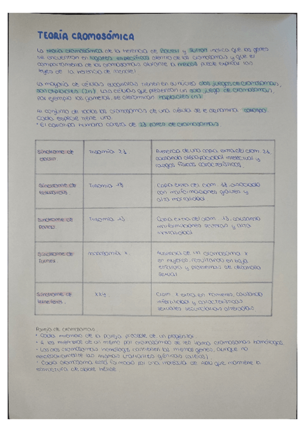 Miniatura del documento Teoria-cromosomica.pdf