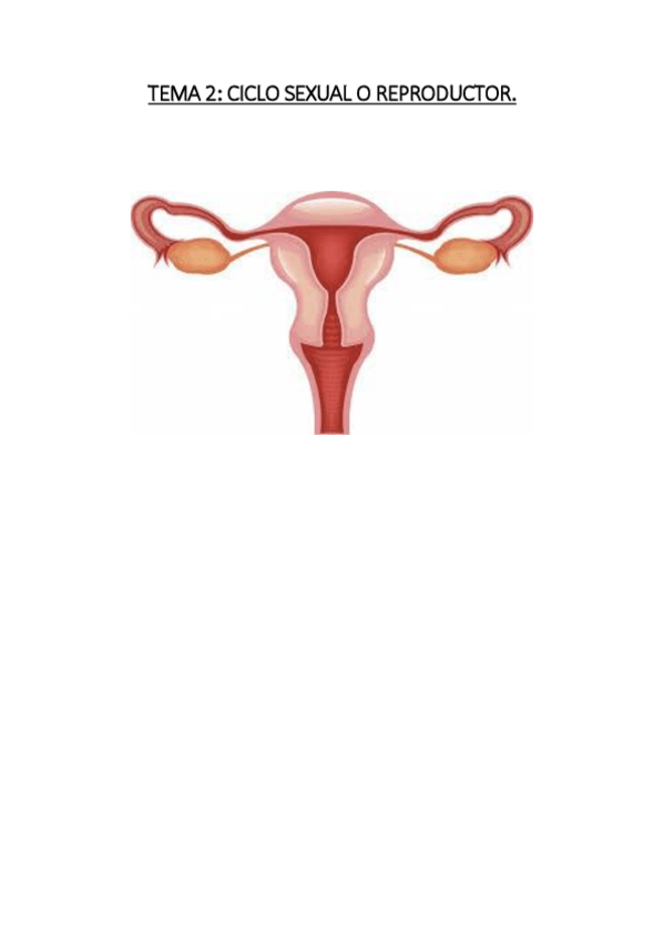 Miniatura del documento TEMA 2. CICLO SEXUAL.pdf
