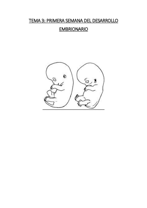 Miniatura del documento TEMA 3. PRIMERA SEMANA DEL DESARROLLO EMBRIONARIO.pdf