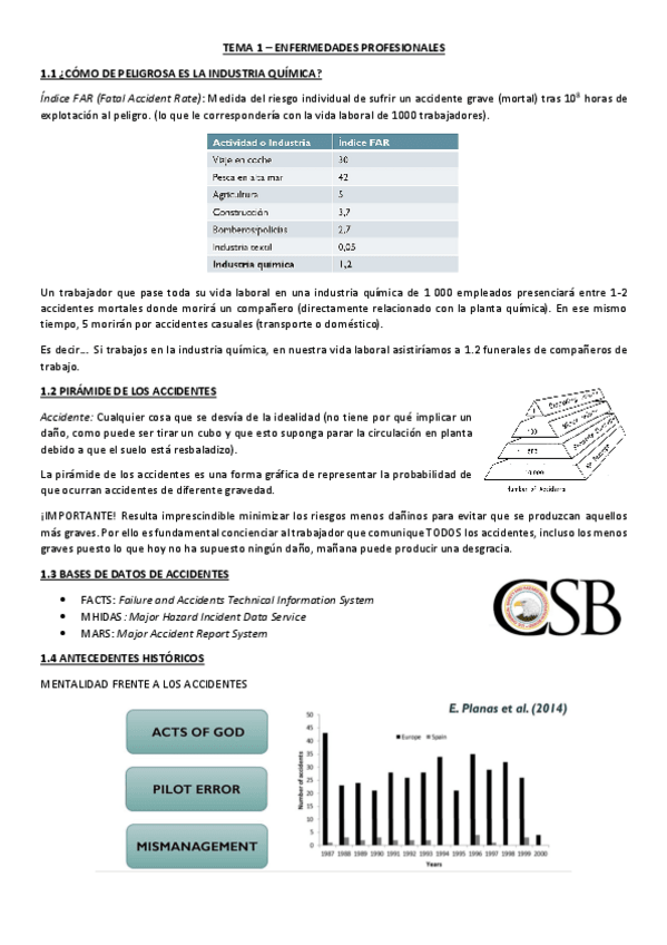 Miniatura del documento Teoria-Riesgos.pdf