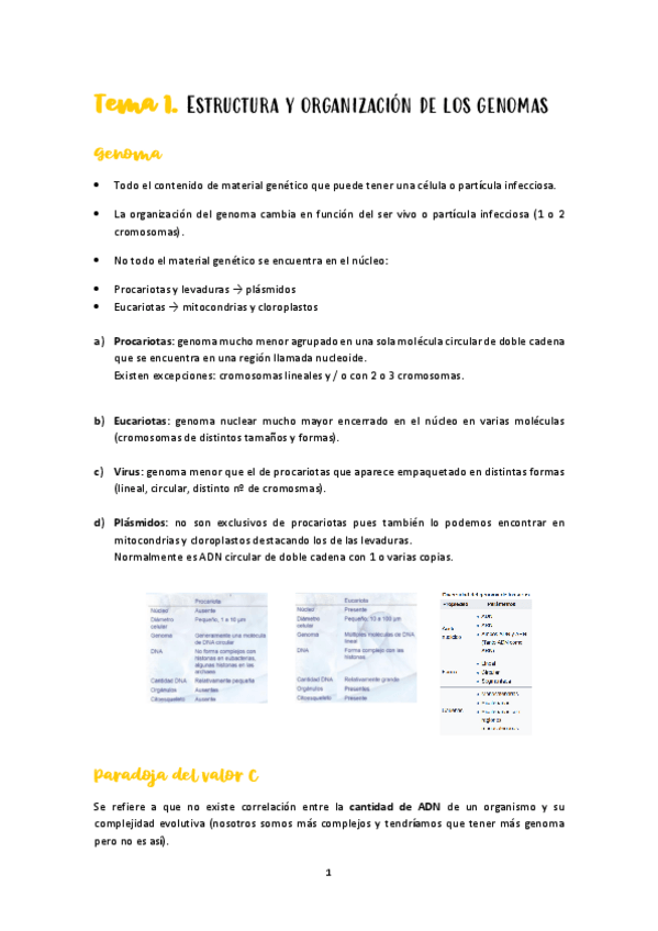 Miniatura del documento Ingenieria-genetica-curso-23-24.pdf