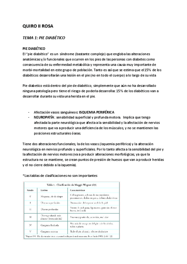 Miniatura del documento QUIRO-II-ROSA.pdf