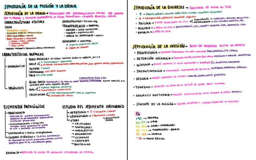Miniatura del documento Esquemas-IMI-renal.pdf