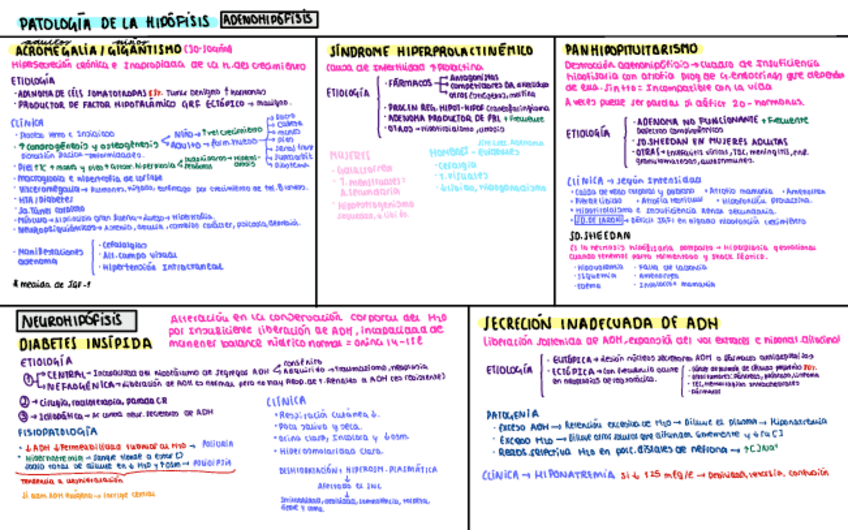 Miniatura del documento Esquemas-IMI-endocrino.pdf