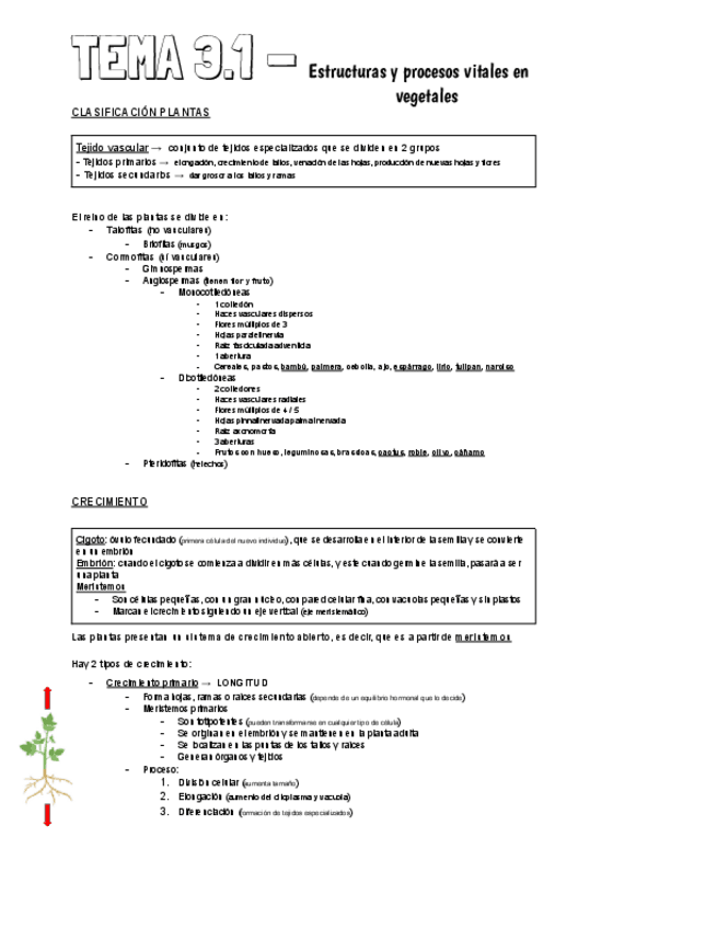 Miniatura del documento Tema 3.1 (BIO).pdf